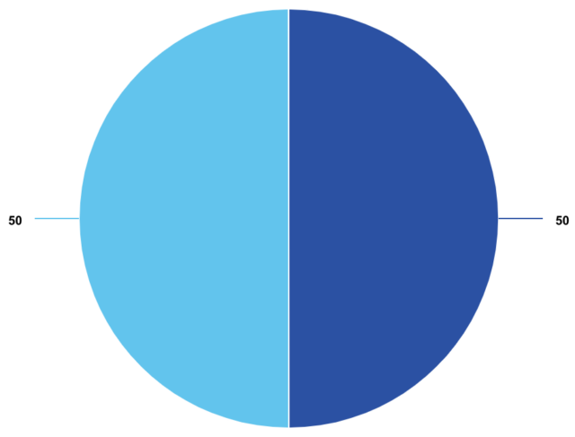 PIE CHART ICON 4